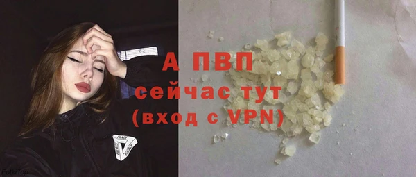 амф Богданович