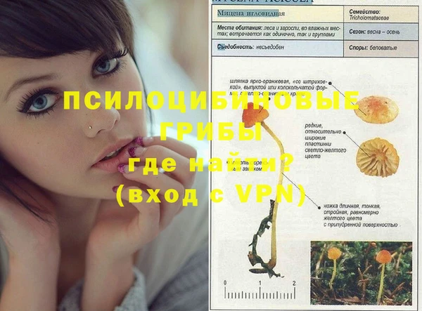 амф Богданович