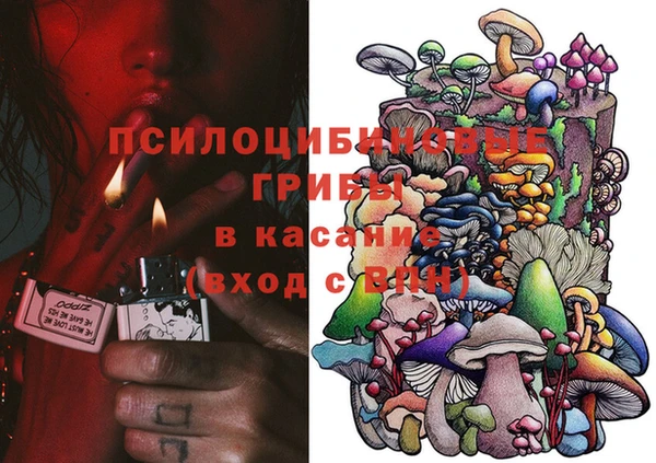 мескалин Богородицк