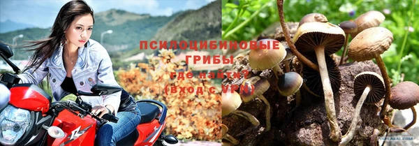 мескалин Богородицк