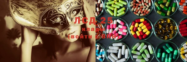 амф Богданович