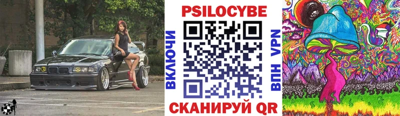 Псилоцибиновые грибы Cubensis  Купить  Снежногорск 